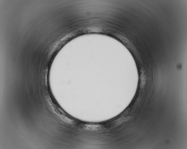 X0000115110446200912081325