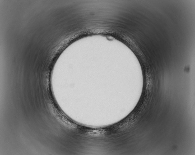 X0000115110447200912081325