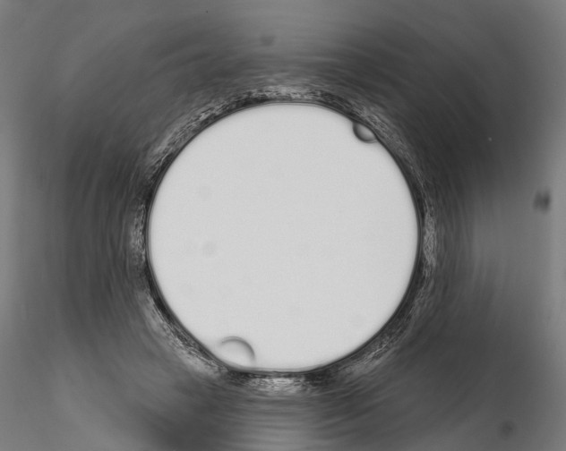 X0000115110449200912081325