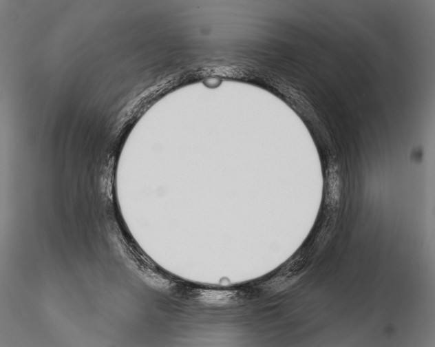 X0000115110450200912081325