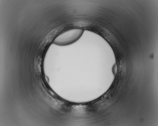 X0000115110452200912081325