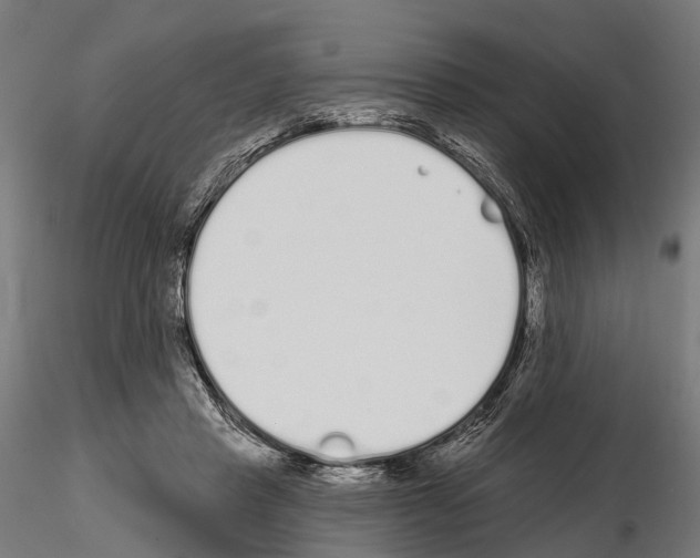 X0000115110453200912081325