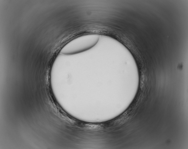 X0000115110454200912081325