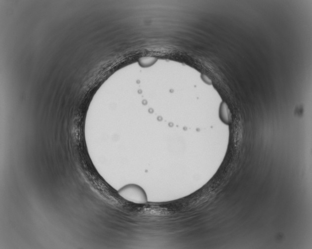 X0000115110455200912081325