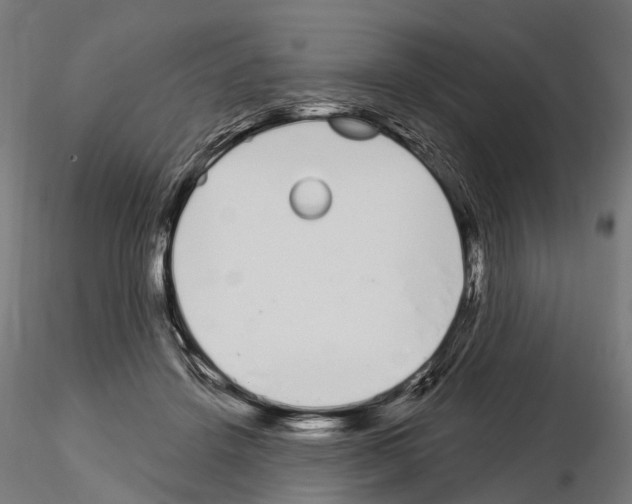 X0000115110456200912081325