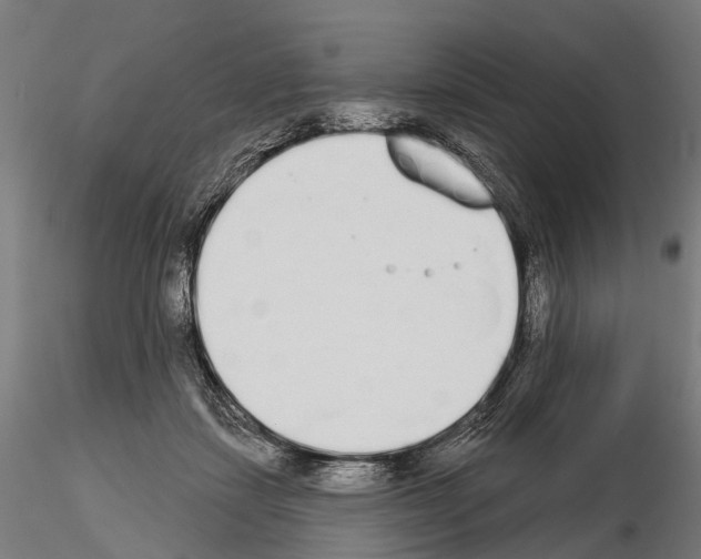 X0000115110459200912081325