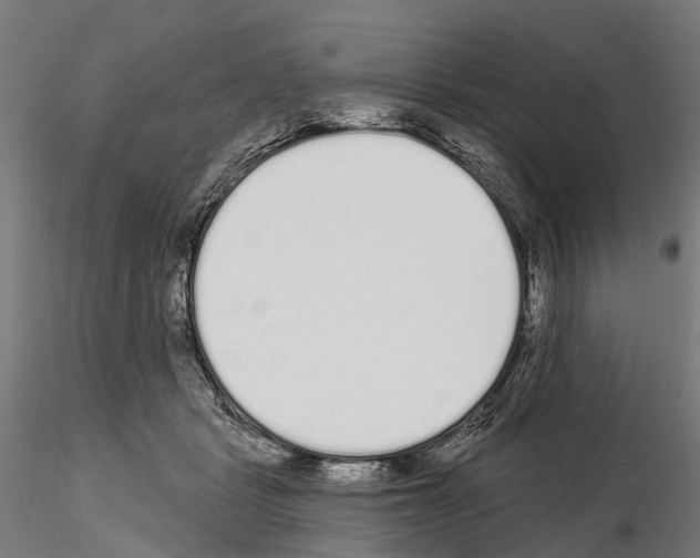 X0000115110461200912081325