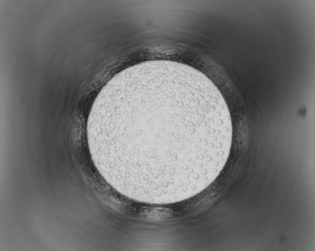 X0000115110463200912081325