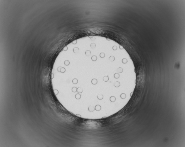 X0000115110464200912081325