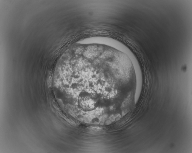 X0000115110465200912081325