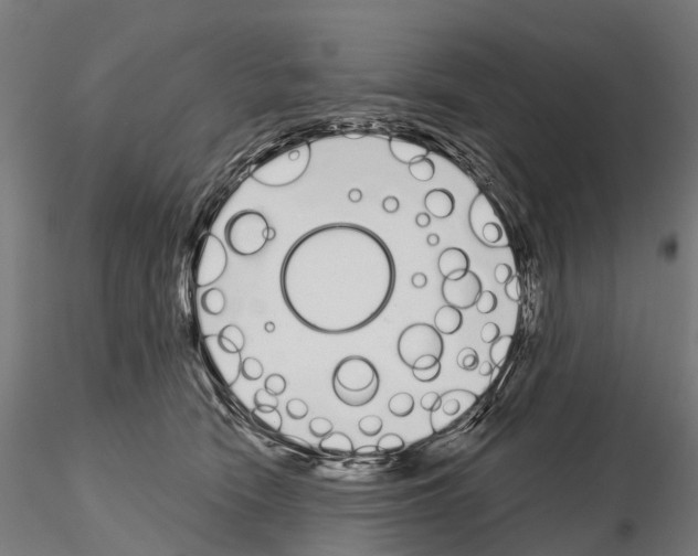 X0000115110466200912081325