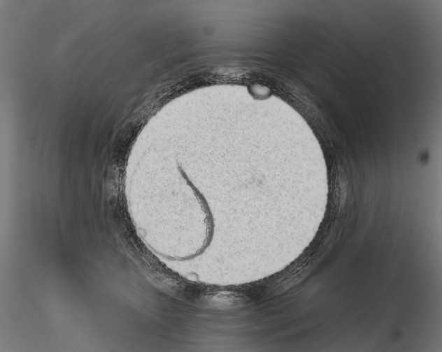 X0000115110467200912081325