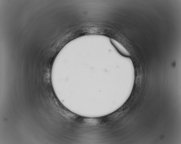 X0000115110469200912081325