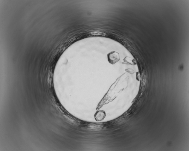 X0000115110470200912081325