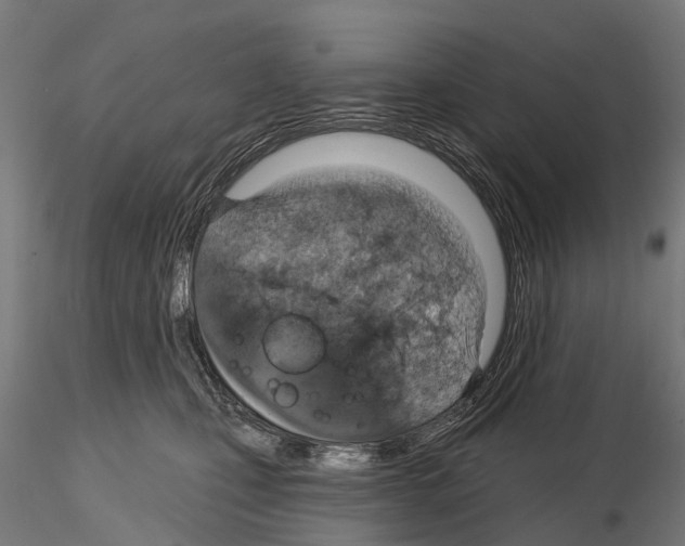 X0000115110471200912081325