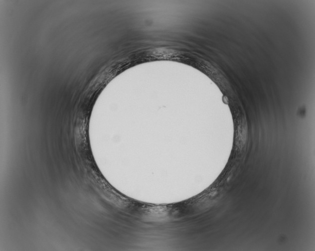 X0000115110473200912081325