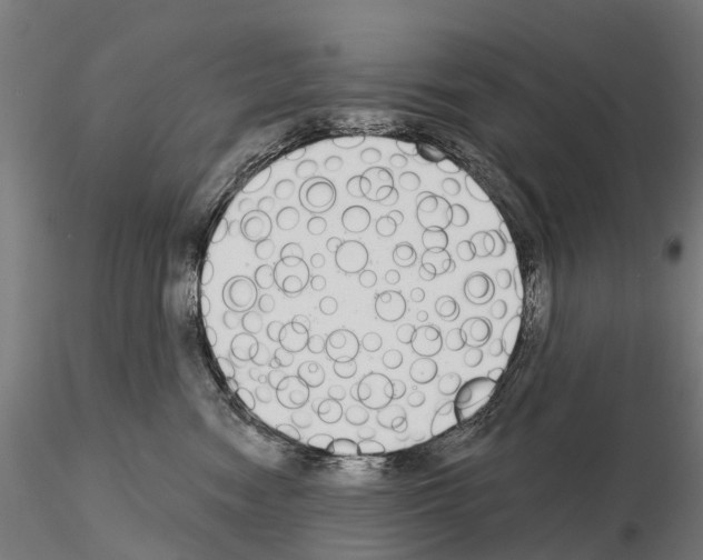 X0000115110474200912081325