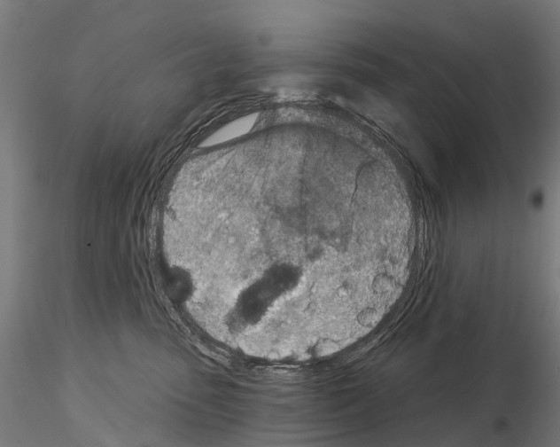 X0000115110475200912081325