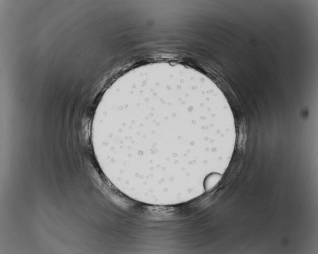 X0000115110476200912081325