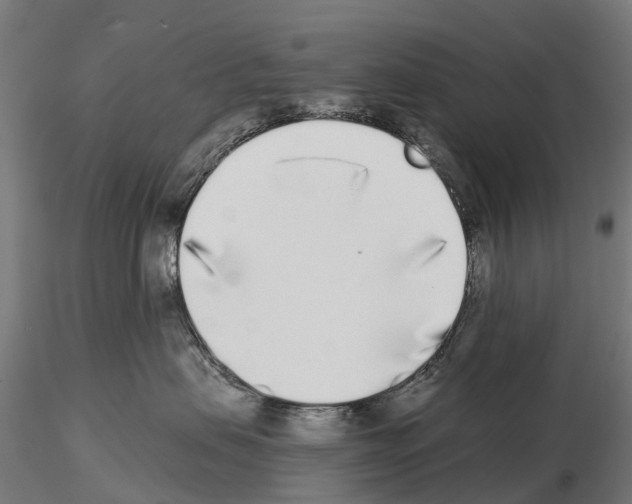 X0000115110479200912081325