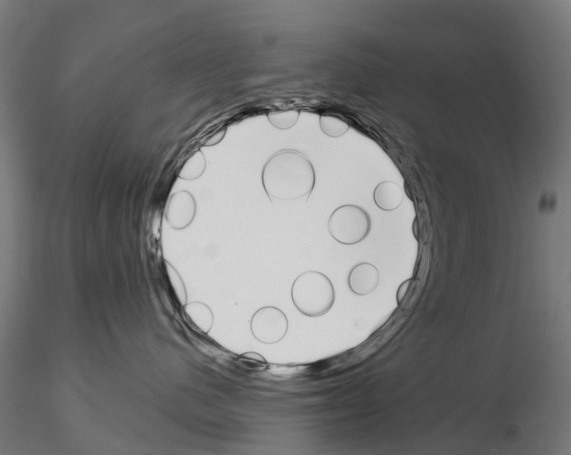 X0000115110480200912081325