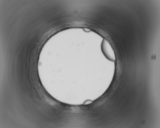 X0000115110481200912081325