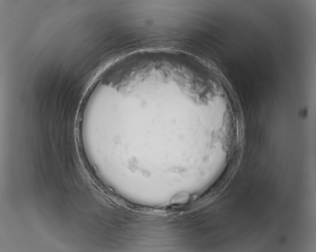 X0000115110483200912081325