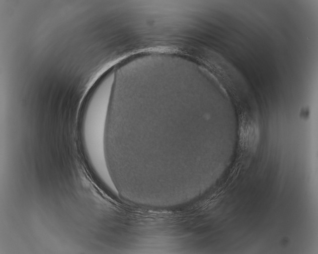 X0000115110484200912081325