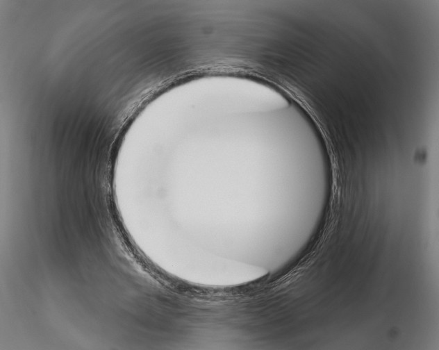 X0000115110485200912081325