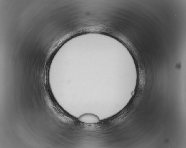 X0000115110486200912081325