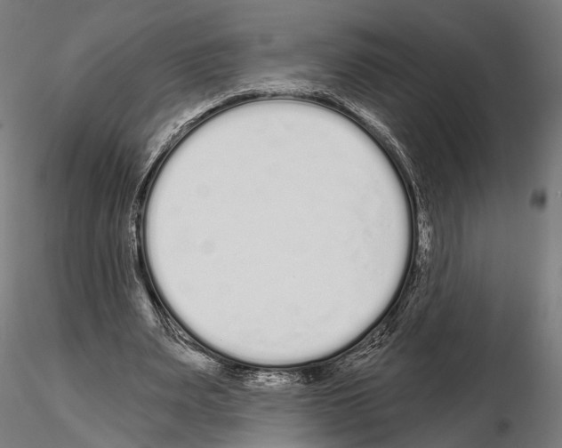 X0000115110487200912081325