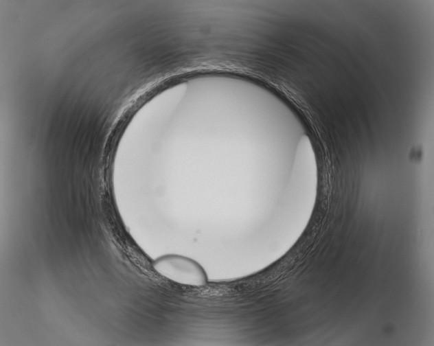 X0000115110488200912081325