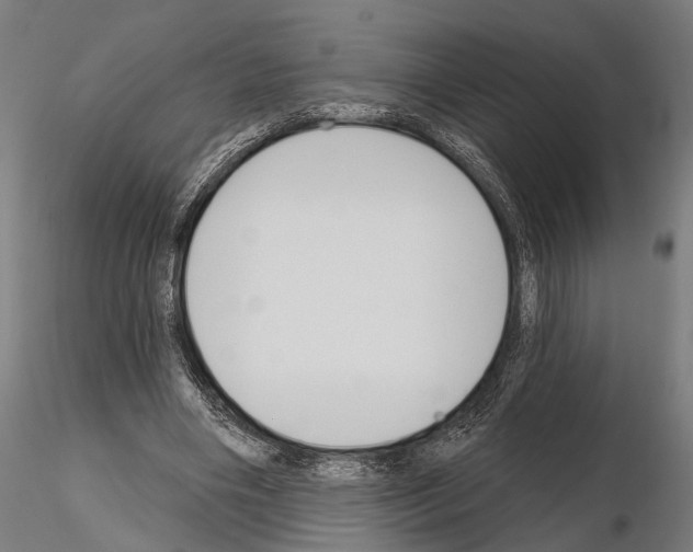 X0000115110490200912081325