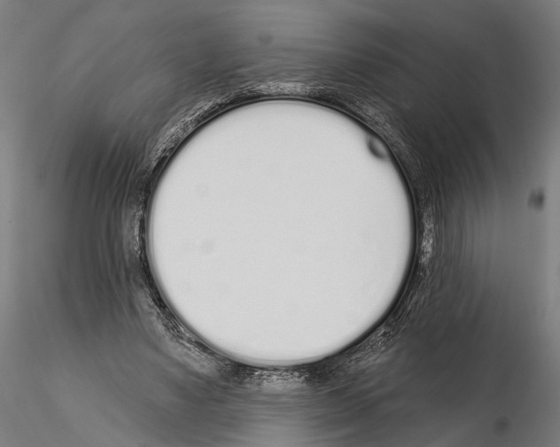 X0000115110491200912081325