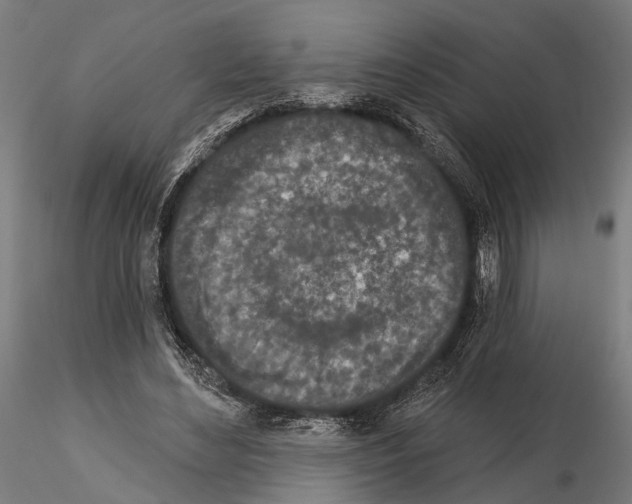 X0000115110492200912081325