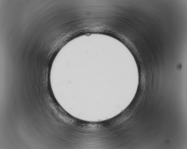 X0000115110493200912081325