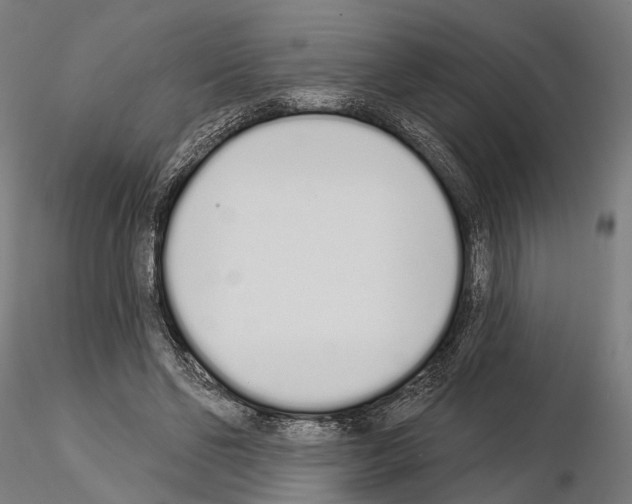 X0000115110494200912081325