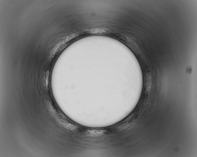 X0000115110495200912081325