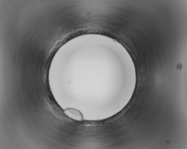 X0000115110496200912081324