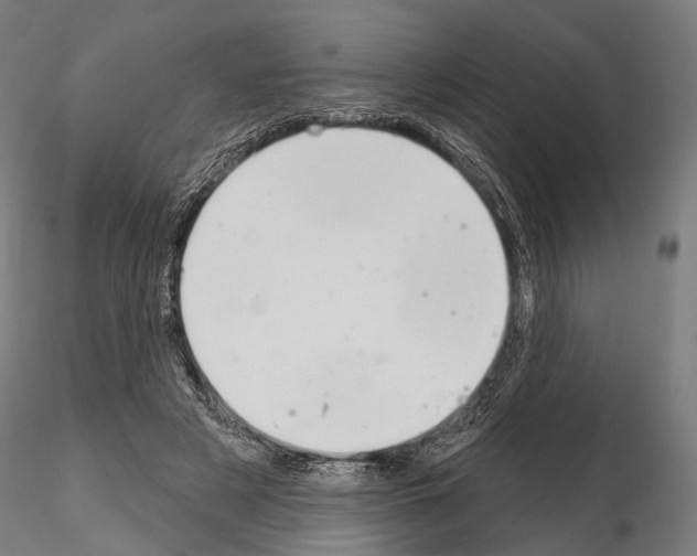 X0000115110497200912081324