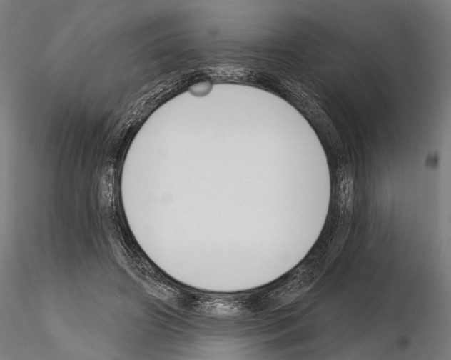 X0000115110498200912081324