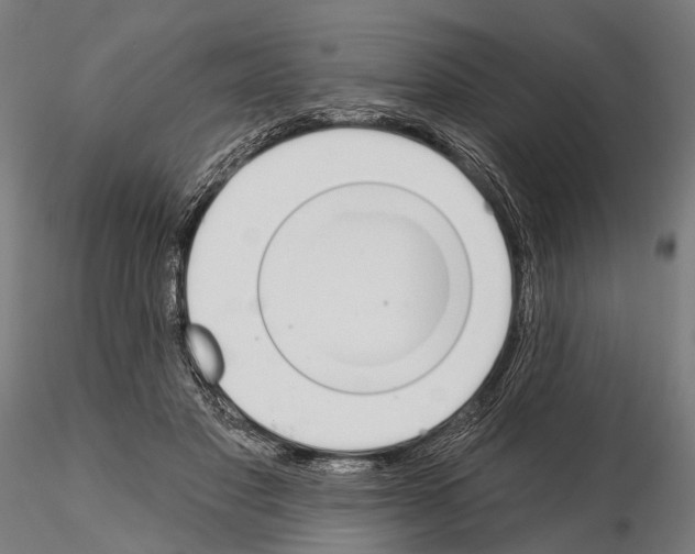 X0000115110501200912081324