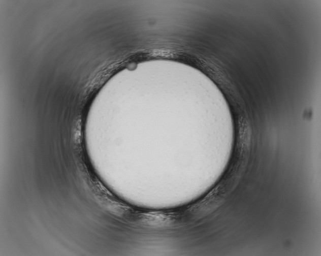 X0000115110502200912081324