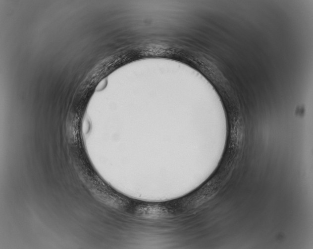 X0000115110503200912081324