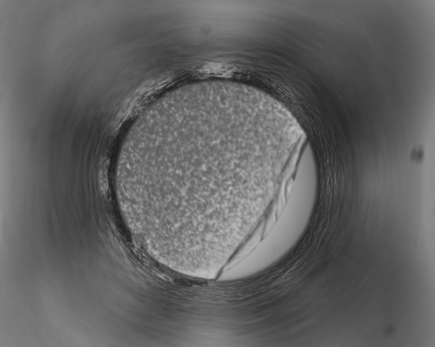 X0000115110504200912081324