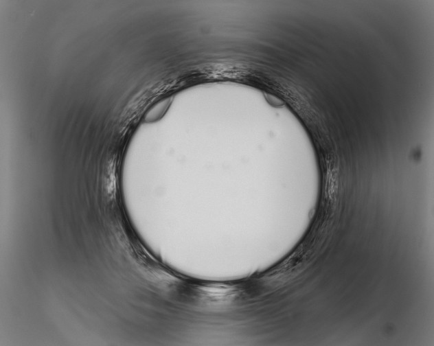 X0000115110506200912081324