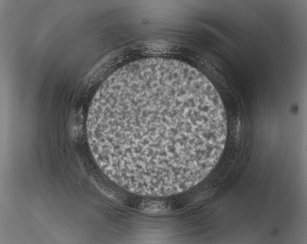 X0000115110507200912081324