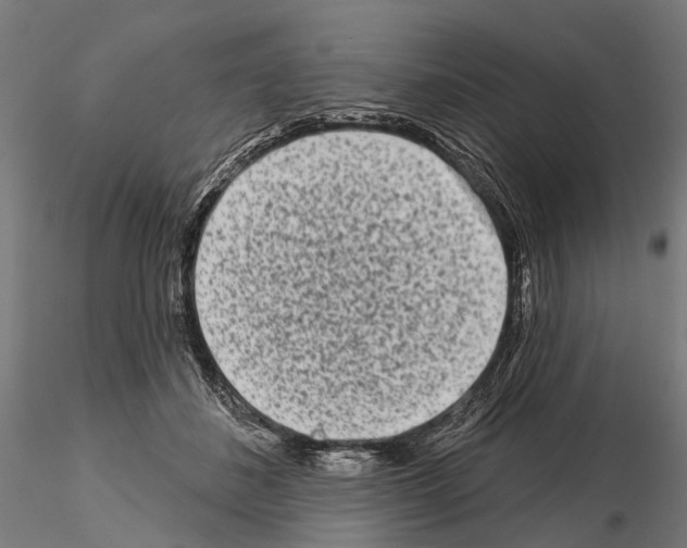 X0000115110508200912081324