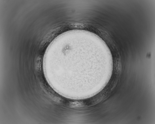 X0000115110511200912081324