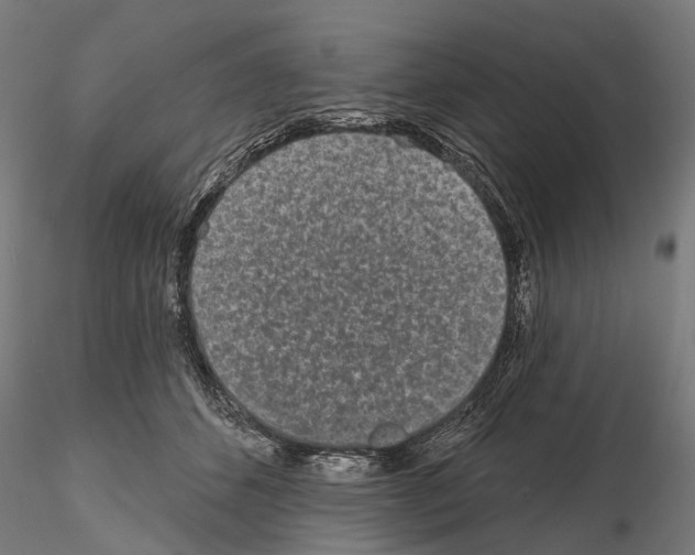 X0000115110512200912081324